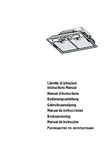 Manual de uso Electrolux EFG50022S Campana extractora