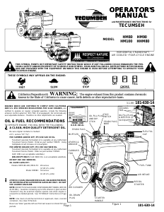 Manual Tecumseh HM90 Engine