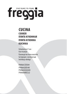 Руководство Freggia PM66MEE22W Кухонная плита