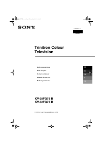 Manuale Sony KV-32FQ75B Televisore