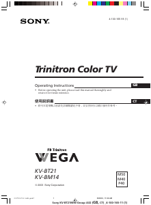 Handleiding Sony KV-BT21M50 Televisie