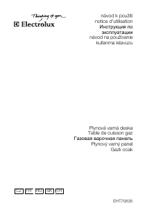 Návod Electrolux EHT70835K Pánt