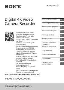 Bruksanvisning Sony FDR-AX40 Videokamera