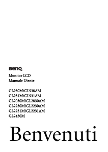 Manuale BenQ GL2030M Monitor LCD