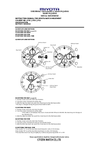 Manual Daniel Steiger Colossus Watch