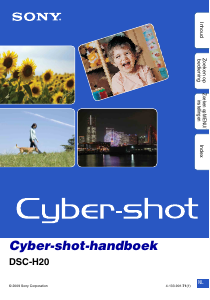 Handleiding Sony Cyber-shot DSC-H20 Digitale camera