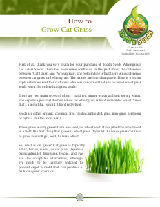 Manual Todd's Seeds Wheatgrass Cat Grass