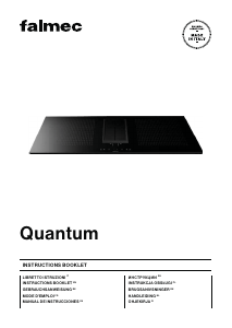 Manual de uso Falmec Quantum Placa