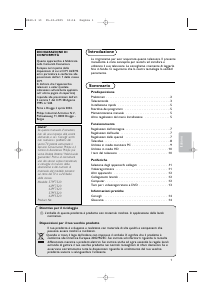 Manuale Philips 42PF7320 Plasma televisore
