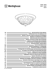 Manual Westinghouse 6305640 Lampă