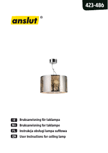 Manual Anslut 423-486 Lamp
