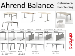 Handleiding Ahrend Balance Bureau