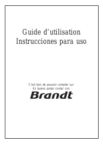 Manual de uso Brandt AE306PF1 Campana extractora