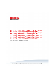 Bruksanvisning Toshiba 49L621U LED TV
