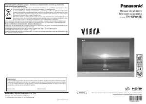 Manual Panasonic TH-42PA45E Viera Televizor plasma 