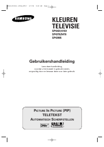 Handleiding Samsung SP-43Q1HE Televisie