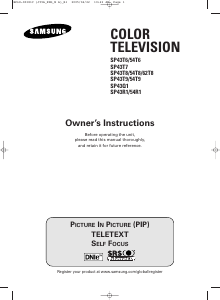 Manual Samsung SP-43R1HE Television