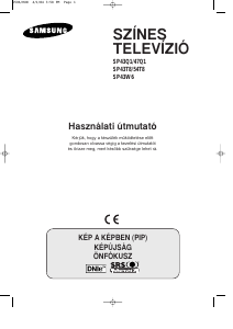 Használati útmutató Samsung SP-43T8HE Televízió