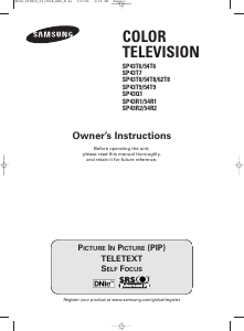 Handleiding Samsung SP-43T9HE Televisie