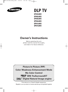 Manual Samsung SP-67L6HX Television