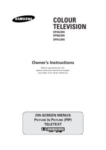 Manual Samsung SP43L2HX Television