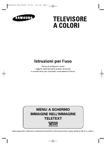 Manuale Samsung WS-28M206V Televisore