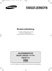 Bruksanvisning Samsung WS-32Z308P TV