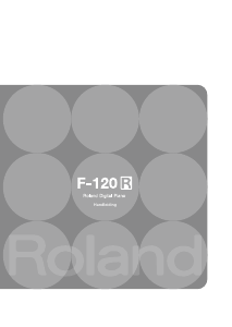 Handleiding Roland F-120R Digitale piano