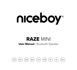Bedienungsanleitung Niceboy RAZE Mini Lautsprecher