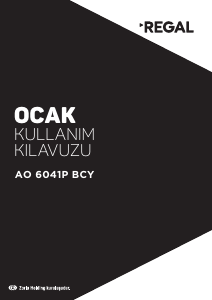 Kullanım kılavuzu Regal AO 6041P BCY Ocak