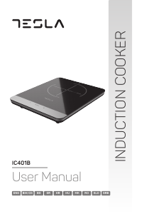 Manual Tesla IC401B Hob