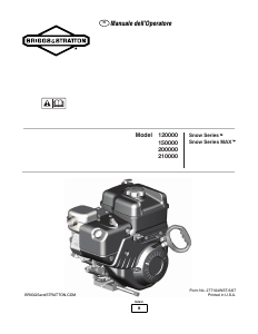 Manuale Briggs and Stratton 150000 Motore