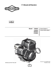 Manuale Briggs and Stratton 200000 Motore