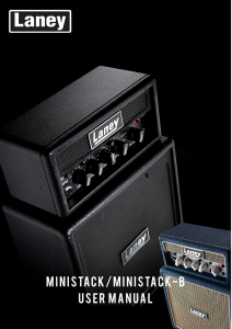 Manual Laney Ministack-B Amplificador de guitarra