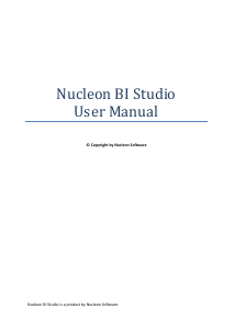 Handleiding Nucleon BI Studio