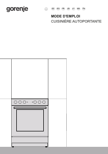 Mode d’emploi Gorenje GEC6A11SG Cuisinière