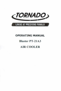 Manual Iwata TORNADO Blaster PT-21A3 Fan