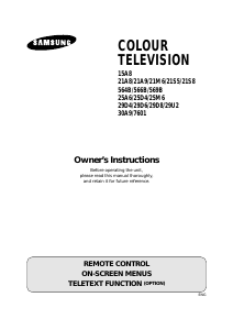 Handleiding Samsung CS-21S8WTR Televisie