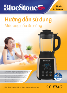 Manual BlueStone BLB-6033 Blender