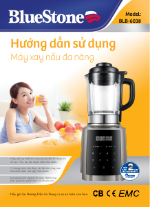 Manual BlueStone BLB-6038 Blender