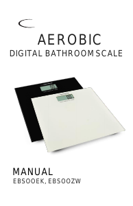 Manual Aerobic EBSOOZW Scale