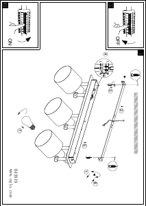 Εγχειρίδιο Eglo 43819 Λαμπτήρας