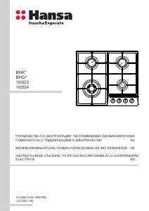 Manual Hansa BHGI630542 Plită