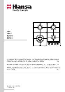 Manual Hansa BHGI610391 Plită
