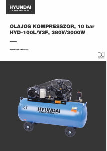 Használati útmutató Hyundai HYD-100L/V3F Kompresszor