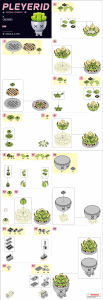 Manual Sluban set M38-B1076D Pleyerid Potted plants succulent