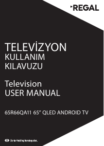 Manual Regal 65R66QA11 LED Television