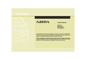 Handleiding Hyundai Azera (2010)