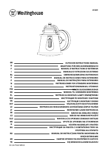 Manual Westinghouse 6124140 Lampă