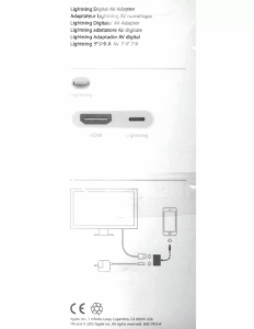 说明书 Apple Lightning Digital AV HDMI适配器